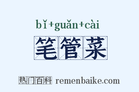 笔管菜是什么意思的图片